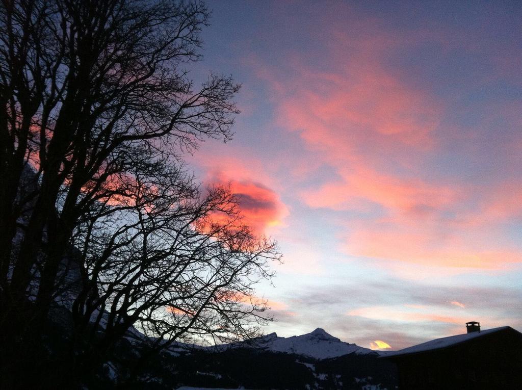 Gletscherschlucht Hotel Grindelwald Esterno foto