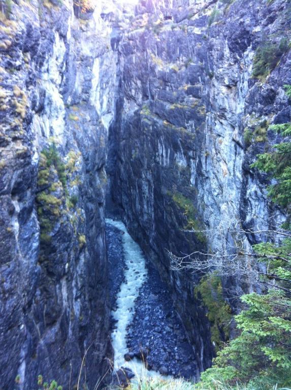 Gletscherschlucht Hotel Grindelwald Esterno foto